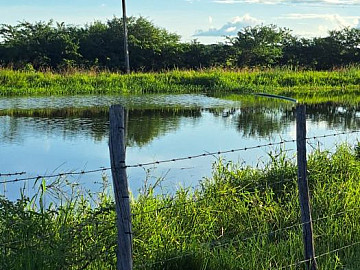 Fazenda pr�xima a S�o Gon�alo - S�tio Massap� - Sousa PB